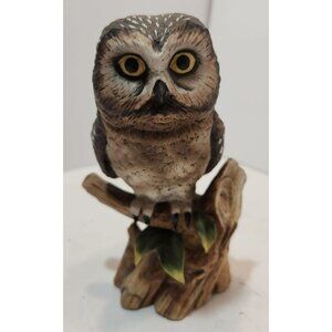 Vtg John James Audubon Saw-Whet Owl (Aegolius Acadicus) Porcelain Figurine 6"